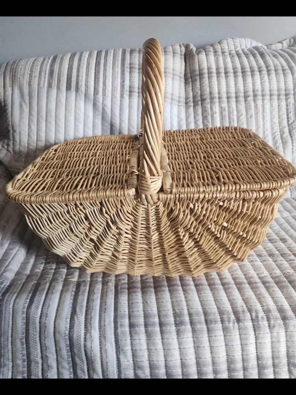 Woven Picnic Basket with Handle - Natural Rattan
